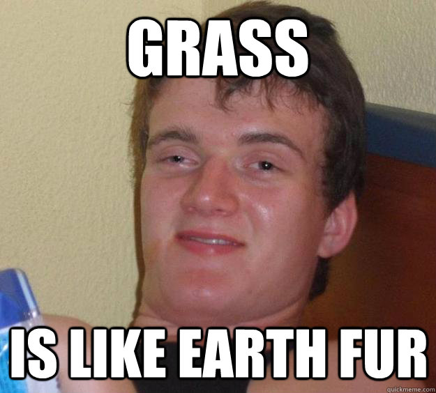 Grass  Is like Earth fur  10 Guy