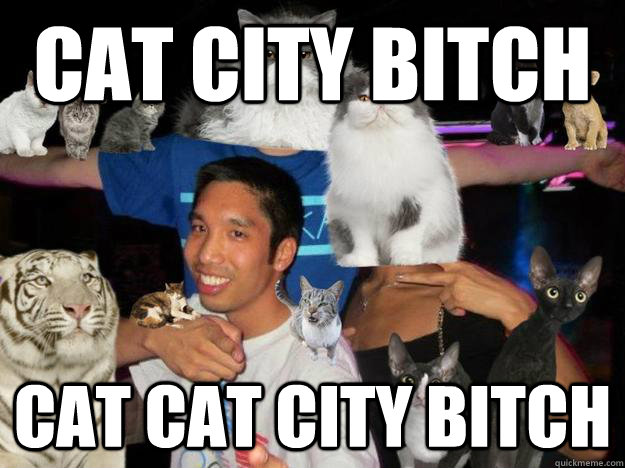Cat City bitch Cat cat city bitch - Cat City bitch Cat cat city bitch  cat city bitch