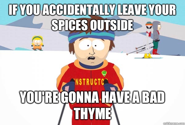 If you accidentally leave your spices outside You're gonna have a bad thyme  Super Cool Ski Instructor