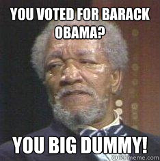you voted for barack obama? You Big Dummy!  
