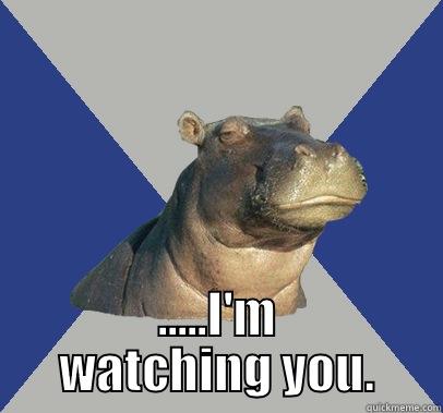 Teachers during test -  .....I'M WATCHING YOU. Skeptical Hippo