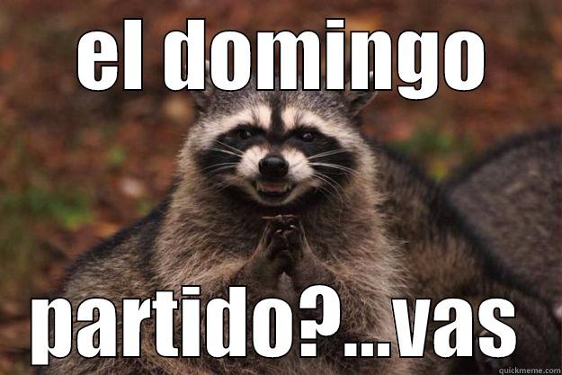  EL DOMINGO PARTIDO?...VAS Evil Plotting Raccoon
