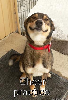 It's time!!!! -  CHEER PRACTICE  Good Dog Greg