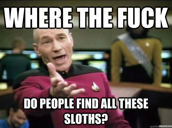 Where the fuck Do people find all these sloths?  Annoyed Picard HD