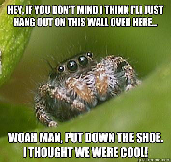 hey, if you don't mind I think i'll just hang out on this wall over here... woah man, put down the shoe. I thought we were cool! - hey, if you don't mind I think i'll just hang out on this wall over here... woah man, put down the shoe. I thought we were cool!  Misunderstood Spider