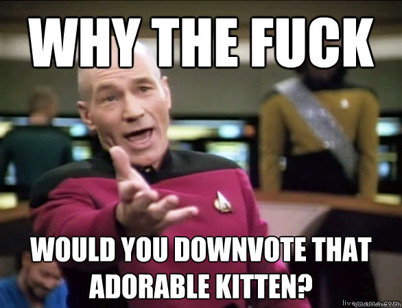 why the fuck would you downvote that adorable kitten?   Annoyed Picard HD
