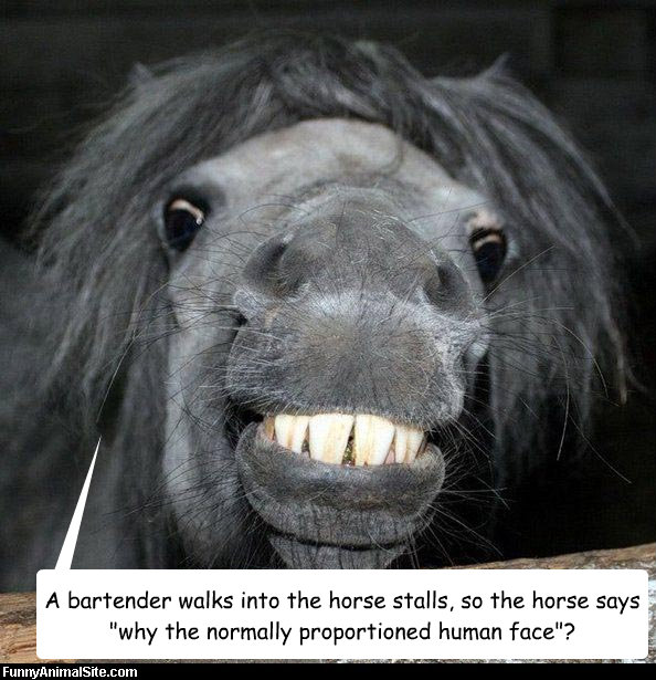 A bartender walks into the horse stalls, so the horse says 