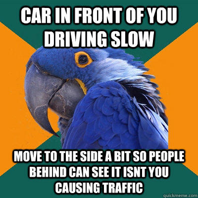 car in front of you driving slow move to the side a bit so people behind can see it isnt you causing traffic - car in front of you driving slow move to the side a bit so people behind can see it isnt you causing traffic  Paranoid Parrot