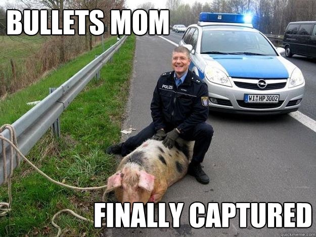 Bullets mom  finally captured  Meanwhile in Germany