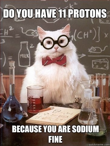 do you have 11 protons because you are sodium fine  Chemistry Cat