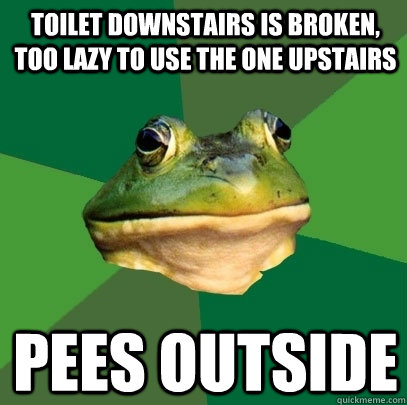 Toilet downstairs is broken, too lazy to use the one upstairs Pees outside  Foul Bachelor Frog
