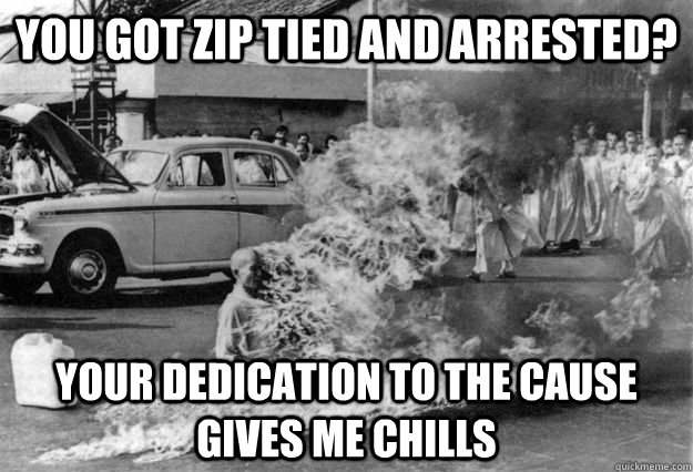 You got zip tied and arrested? Your dedication to the cause gives me chills  Unimpressed Monk