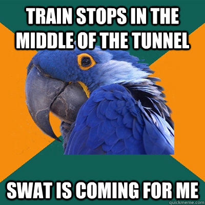 Train stops in the middle of the tunnel SWAT IS Coming for me  Paranoid Parrot