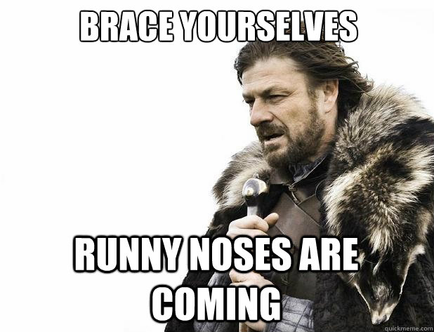 Brace yourselves Runny noses are coming - Brace yourselves Runny noses are coming  Misc