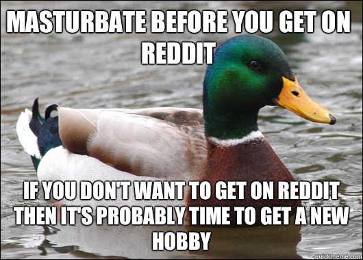 Masturbate before you get on reddit If you don't want to get on reddit then it's probably time to get a new hobby  Actual Advice Mallard