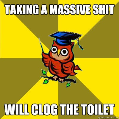 taking a massive shit will clog the toilet  Observational Owl