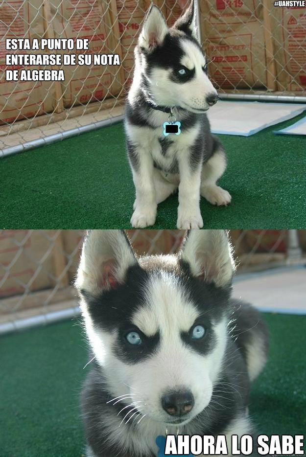 Esta a punto de
enterarse de su nota
de algebra Ahora lo sabe #UAHStyle  Insanity puppy