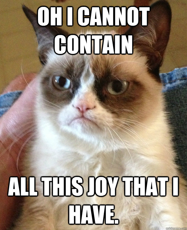 Oh I cannot contain all this joy that I have.  grumpycat