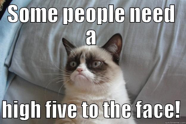 SOME PEOPLE NEED A  HIGH FIVE TO THE FACE! Grumpy Cat