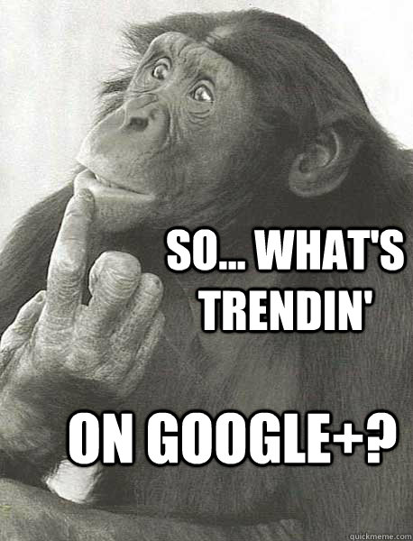 So... what's trendin' on Google+? - So... what's trendin' on Google+?  Google Plus Trending