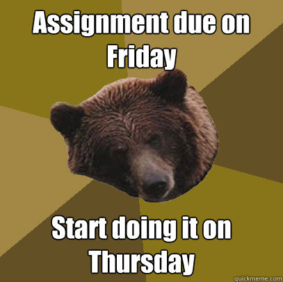 Assignment due on Friday Start doing it on Thursday  Lazy Bachelor Bear