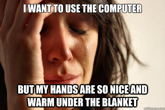 I want to use the computer but my hands are so nice and warm under the blanket  First World Problems