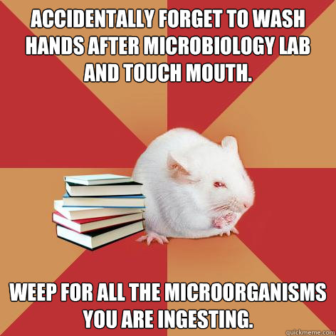 Accidentally forget to wash hands after microbiology lab and touch mouth. Weep for all the microorganisms you are ingesting.  Science Major Mouse