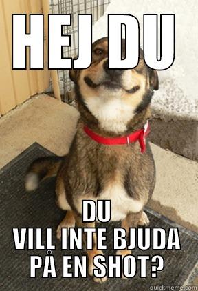 HEJ DU DU VILL INTE BJUDA PÅ EN SHOT? Good Dog Greg