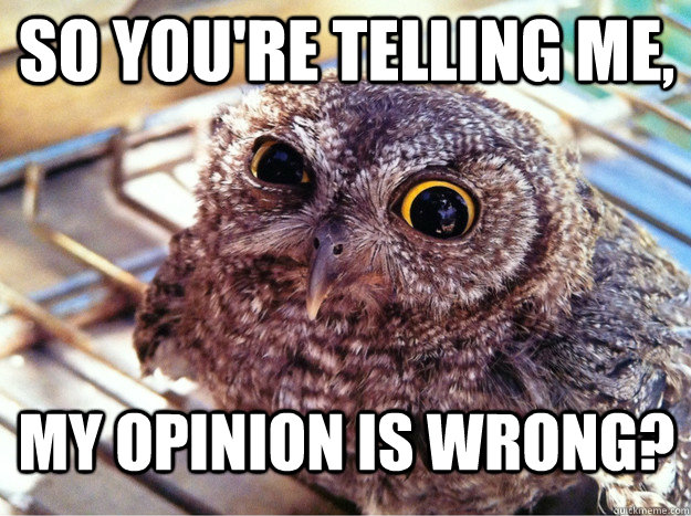 So you're telling me, My opinion is wrong?  Skeptical Owl