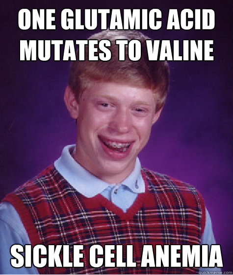 One Glutamic Acid mutates to valine Sickle Cell Anemia  Bad Luck Brian