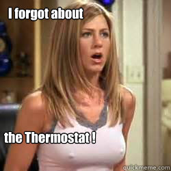 I forgot about the Thermostat !  Jennifer Aniston