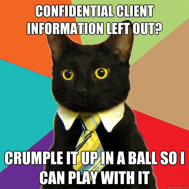 Confidential client information left out? Crumple it up in a ball so I can play with it - Confidential client information left out? Crumple it up in a ball so I can play with it  Business Cat