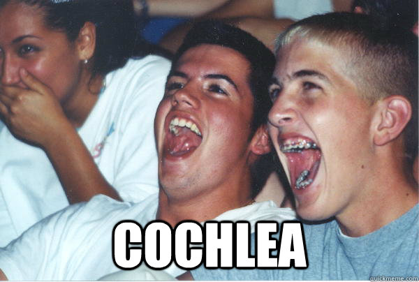  cochlea  Immature High Schoolers