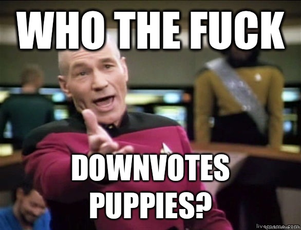 Who the fuck Downvotes puppies?  Annoyed Picard HD