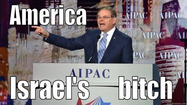 AMERICA                       ISRAEL'S      BITCH Misc