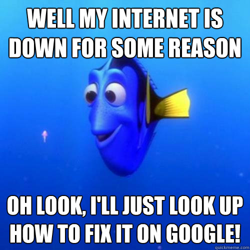 well my internet is down for some reason oh look, i'll just look up how to fix it on google!  dory