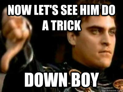 Now let's see him do a trick Down boy  Downvoting Roman