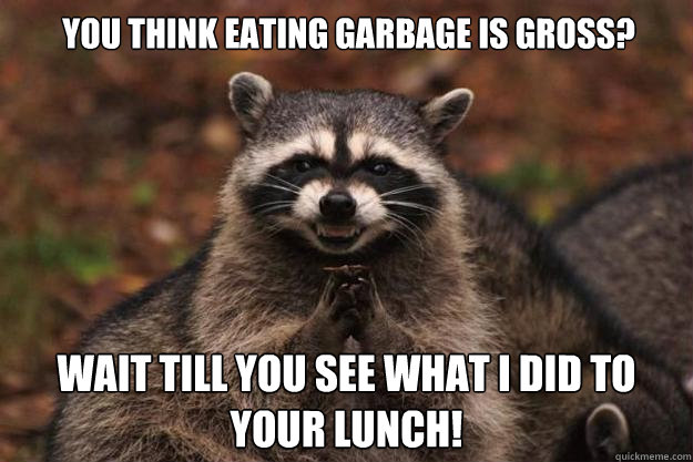 You think eating garbage is gross? wait till you see what I did to your lunch!  Evil Plotting Raccoon