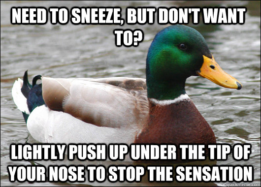 Need to sneeze, but don't want to? Lightly push up under the tip of your nose to stop the sensation  Actual Advice Mallard