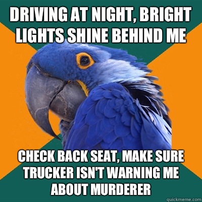 Driving at night, bright lights shine behind me Check back seat, make sure trucker isn't warning me about murderer  Paranoid Parrot