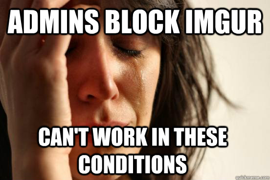 ADMINS BLOCK IMGUR CAN'T WORK IN THESE CONDITIONS  FirstWorldProblems