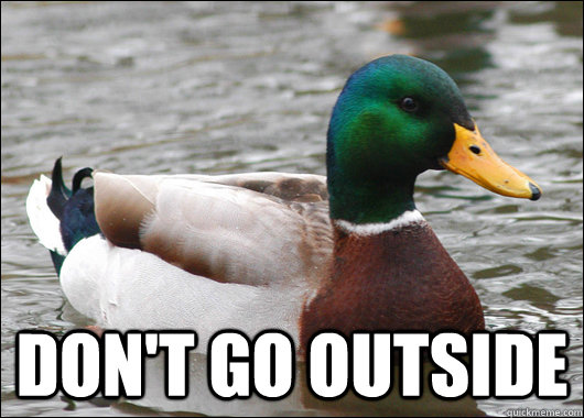  don't go outside  Actual Advice Mallard