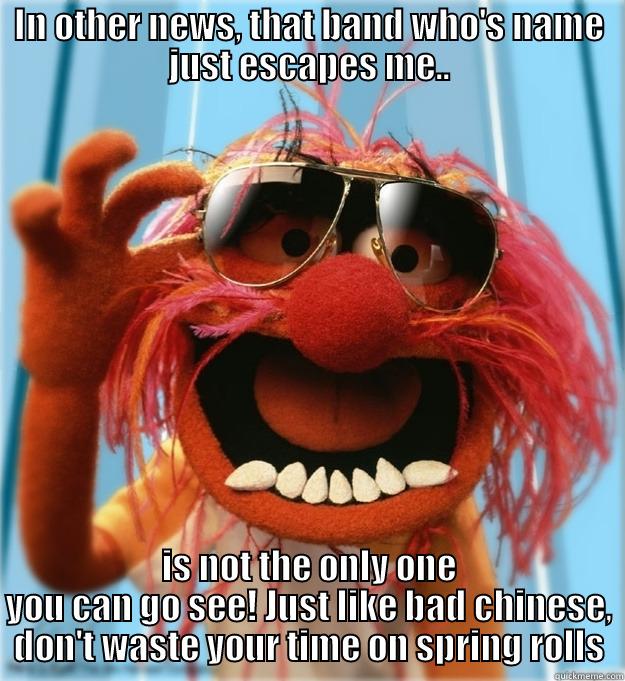 Yeah, Yeah, Rock N Roll!! AHH AHH - IN OTHER NEWS, THAT BAND WHO'S NAME JUST ESCAPES ME.. IS NOT THE ONLY ONE YOU CAN GO SEE! JUST LIKE BAD CHINESE, DON'T WASTE YOUR TIME ON SPRING ROLLS Advice Animal