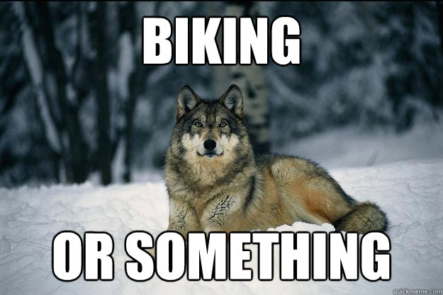 biking OR SOMETHING  Wolf