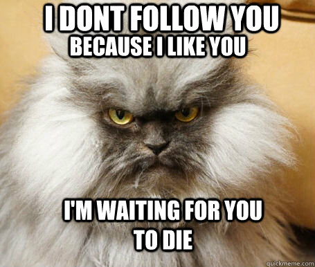 I dont follow you because i like you I'm waiting for you to die - I dont follow you because i like you I'm waiting for you to die  Sinister Cat