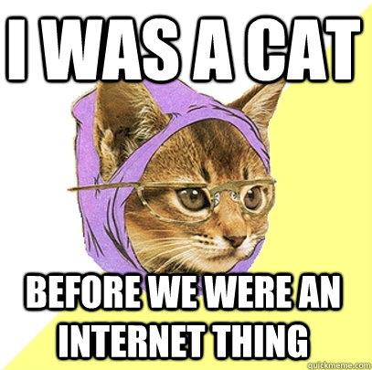 I was a cat before we were an internet thing  Hipster Kitty