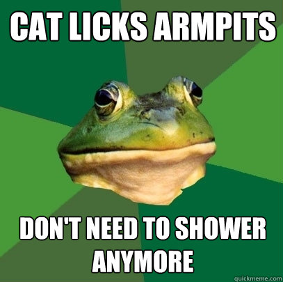 Cat licks armpits don't need to shower anymore  Foul Bachelor Frog