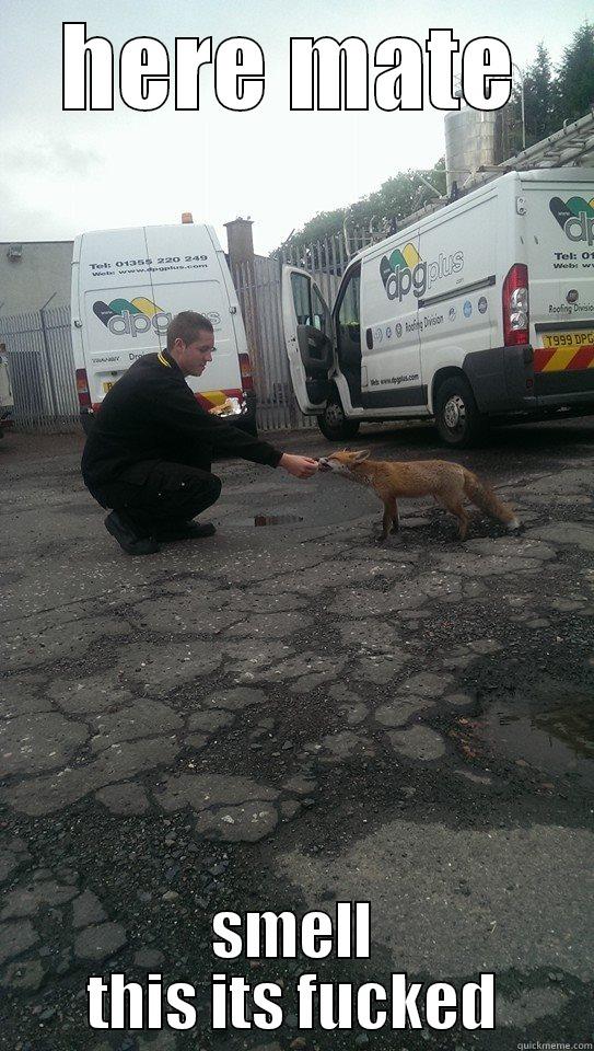 HERE MATE SMELL THIS ITS FUCKED Misc