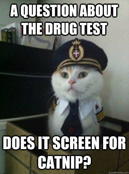 A question about the drug test Does it screen for catnip?  Captain kitteh