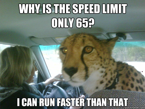 Why is the speed limit only 65? I can run faster than that - Why is the speed limit only 65? I can run faster than that  Chill Cheetah